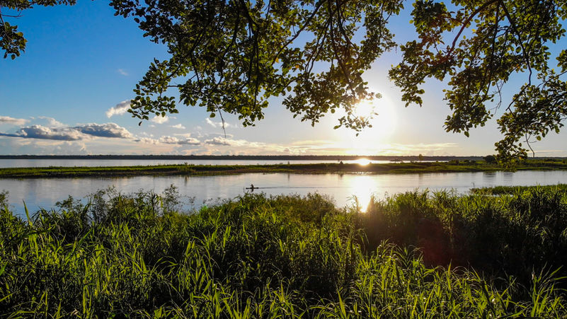 Amazon Jungle (6).jpg