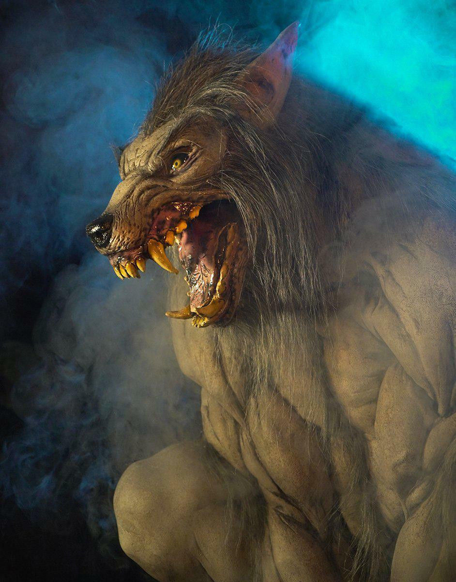 Thumbnail: Wicked Wolf Display Static Version