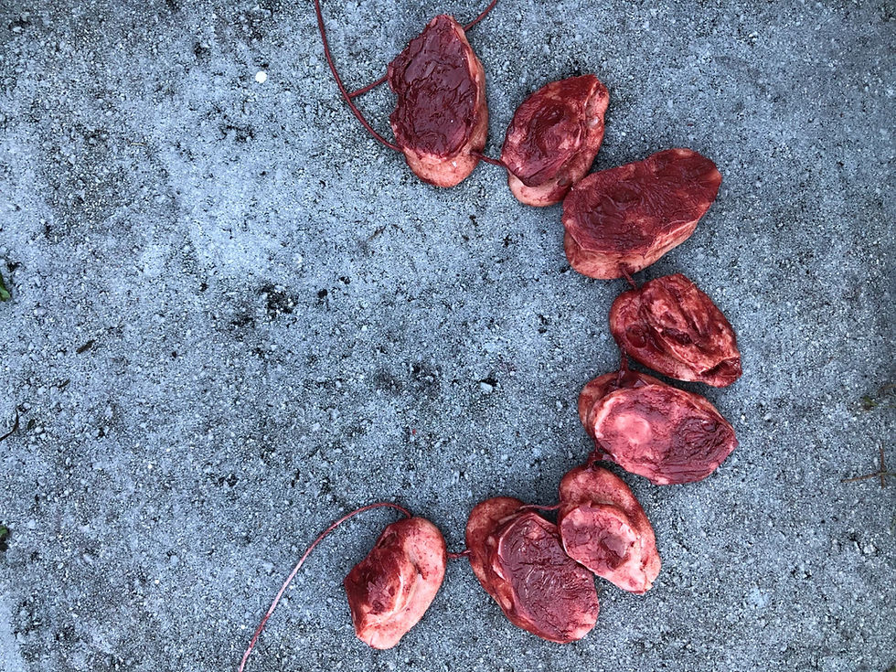 Thumbnail: Severed Ear Necklace