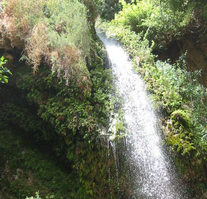 Ein Gedi