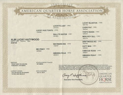 Alm Lucky Katywood