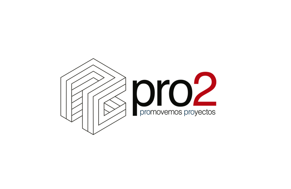 constructora-pro2-