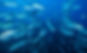 Global Seamounts Project