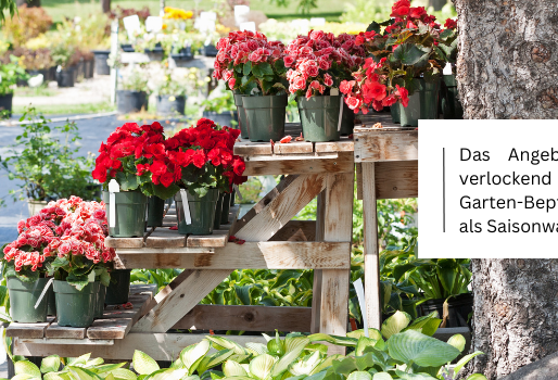 Warum Sie die Bepflanzung Ihres Gartens nicht nach dem Angebot Ihres Gartencenters richten sollten.