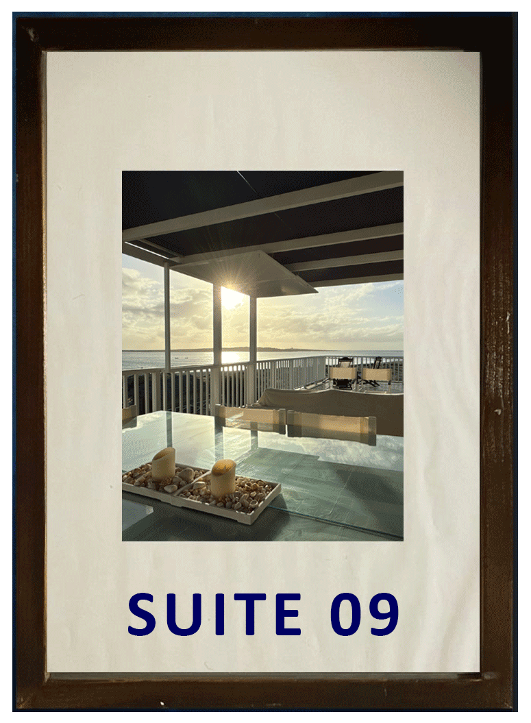 suite09.gif