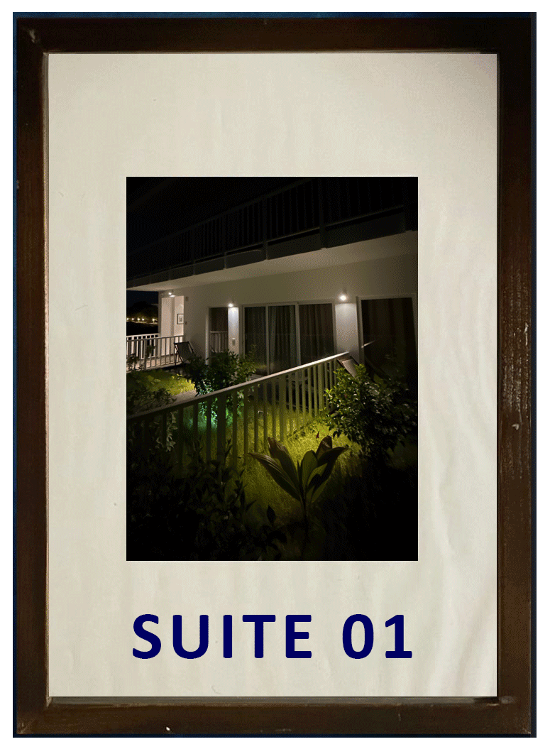 SUITE01.gif