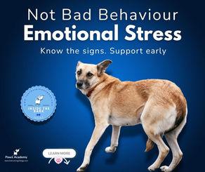 Infographic on dog emotional stress showing a nervous dog turning away. Text reads Not Bad Behaviour Emotional Stress. Know the signs. Support early. Part of the Inside the Bark series by Paws Academy.