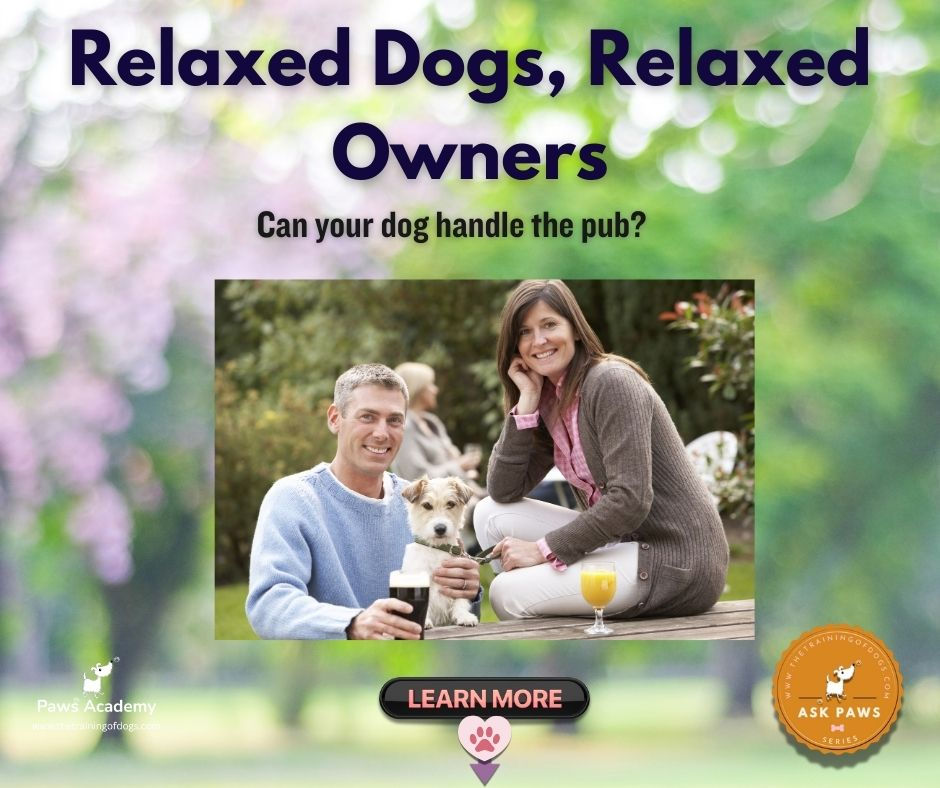 Couple enjoying drinks at a dog-friendly pub with their relaxed dog, promoting calm dog behaviour and social outings in public spaces
