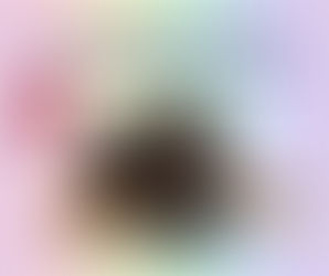 German Shepherd puppy lying down on a soft rainbow background, with text reading “Confident Dog. Committed Owner. The German Shepherd”. Visual from Paws Academy’s Breed Brief Series discussing responsible ownership and training of restricted breeds in Ireland.