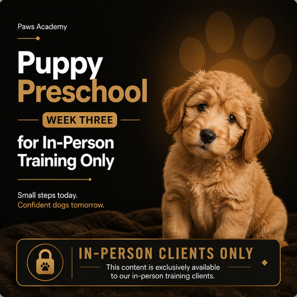 Paws Academy visual for ‘Pawsitive Start – Week Three’ of puppy preschool. Features an adorable Golden Retriever puppy on a soft pink butterfly-themed background. Includes ‘Little Paws’ and ‘Paws Online’ series badges, plus a row of digital Paws Academy screens at the bottom
