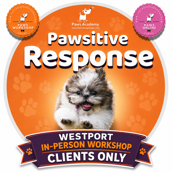 Paws Academy graphic for ‘Pawsitive Response’—an online dog training course. A small fluffy dog runs joyfully toward the viewer on an orange background filled with stars and sparkles. Badges for ‘Paws Workshop’ and ‘Paws Online’ series are shown at the top. Multiple Paws Academy digital screens are displayed at the bottom