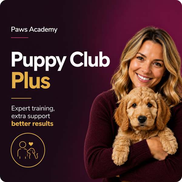 Puppy Club Plus