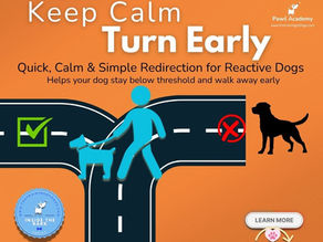 Infographic showing how to use the U turn technique to help reactive dogs stay calm and avoid triggers during walks