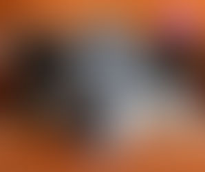 Senior dog resting on an orange sofa with text overlay “Training Tips for Senior Dogs – Gentle strategies for ageing dogs” from Paws Academy