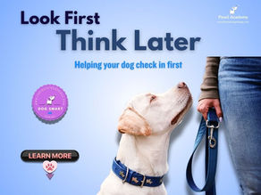 Infographic showing a dog on lead looking up at a person, with the title “Look First, Think Later” and subtitle “Helping your dog check in first” from Paws Academy’s Dog Smart series