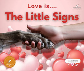 How To Tell If Your Dog Loves You. Really.