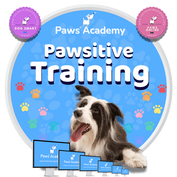 Paws Academy promotional graphic for ‘Pawsitive Training’ online course. Features a happy black-and-white dog lying down on a blue background with colorful paw prints. Includes ‘Dog Smart’ and ‘Paws Online’ series logos at the top corners and multiple computer screens at the bottom displaying the Paws Academy website