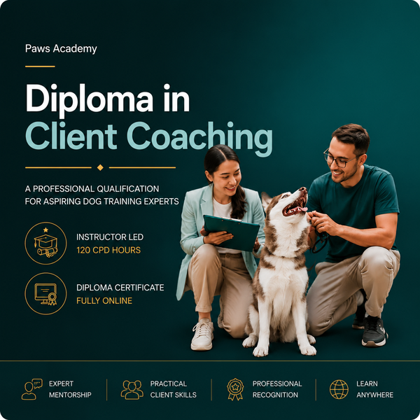Diploma in client coaching logo