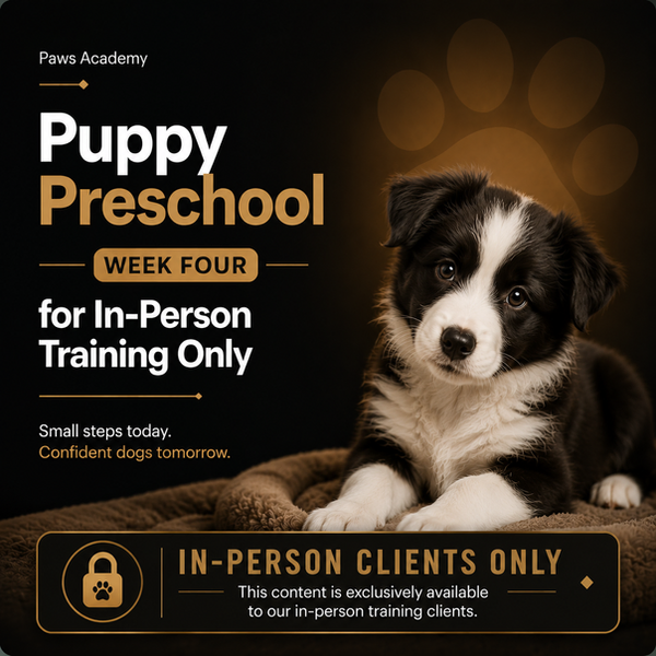Paws Academy visual for ‘Pawsitive Start – Week Four’ of puppy preschool. Features a Golden Retriever puppy resting on a soft pink background with butterflies. Includes ‘Little Paws’ and ‘Paws Online’ series badges, and a row of digital Paws Academy screens at the bottom