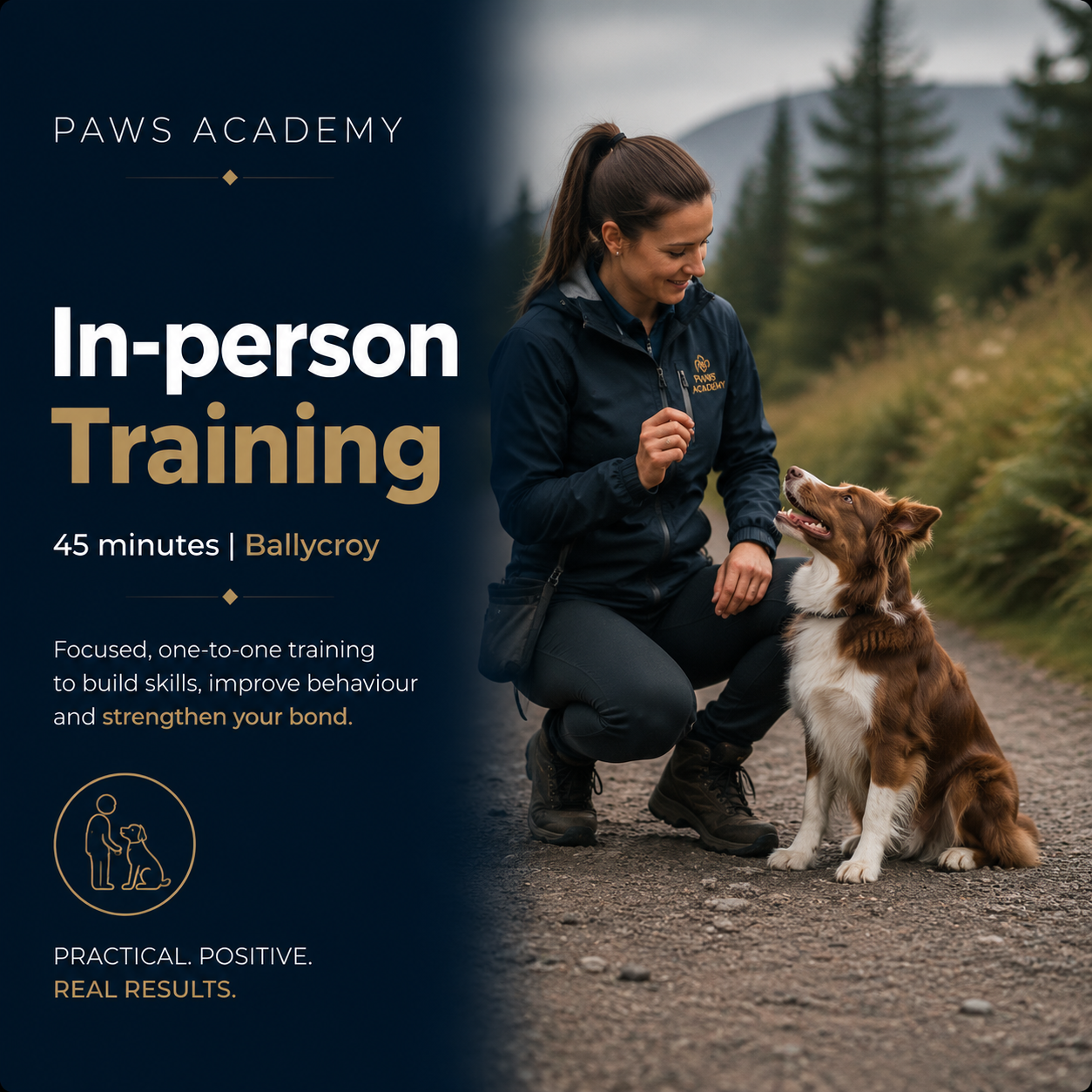 White fluffy dog giving a paw to a trainer during a 60-minute outdoor dog training session at Paws Academy Ballycroy