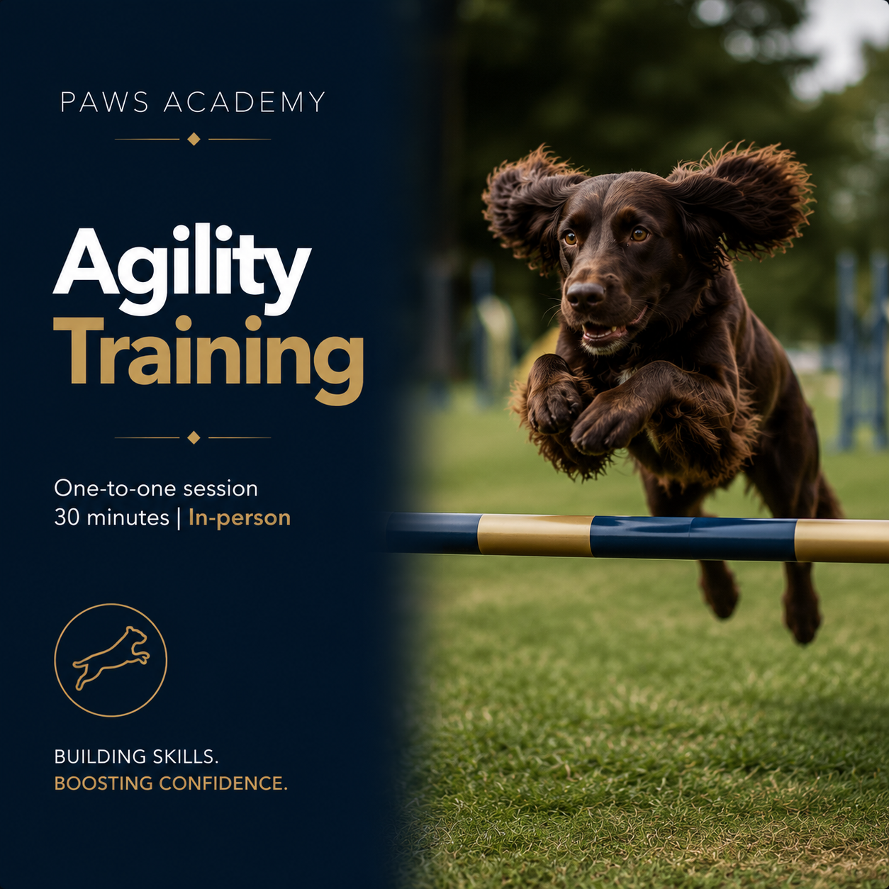 ocused Jack Russell Terrier descending an A-frame obstacle during agility training, representing Paws Academy’s 30-minute Agility Line sessions in Ballycroy designed to build confidence, speed, and skill
