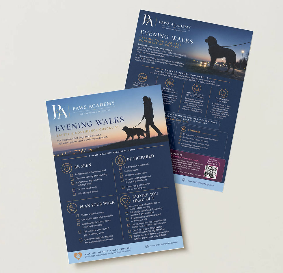 Free Evening Dog Walks Guide | Safety & Confidence | Paws Academy
