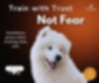 Smiling white fluffy dog with the text ‘Train with Trust, Not Fear’ from Paws Academy, promoting positive reinforcement and safe, confidence-building dog training methods