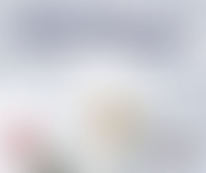 Bichon Frise standing against a grey background with paw prints and hearts, showcasing its fluffy white coat and round face. Ideal companion dog for families, perfect for apartment living, hypoallergenic, affectionate and people-oriented breed. Part of Paws Academy’s Breed Brief dog training series.