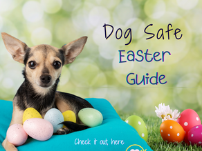 What Not to Feed Your Dog Over Easter: A Practical Guide for Pet Owners