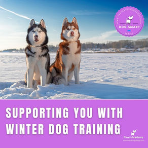Winter dog training