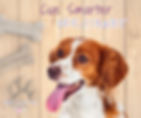 Happy brown and white dog with tongue out next to the phrase ‘Cue Smarter, Not Louder’ on a wooden background with dog bone and paw print graphics — promoting positive dog training techniques