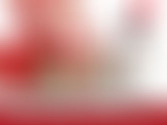 How to prepare your dog for holiday visitors