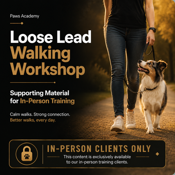 Loose lead walking workshop supporting material