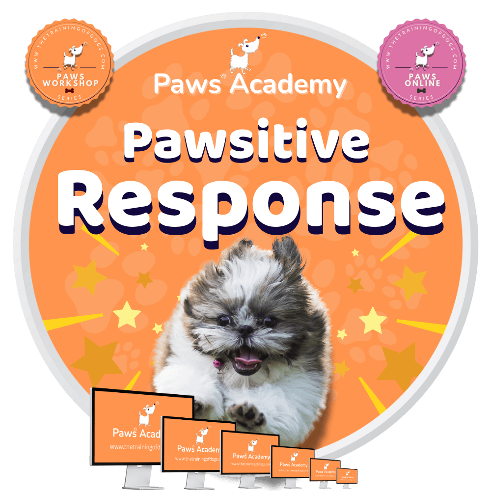 Course Paws Pawsitive Response - Online Recall Training Course | Paws Academy
