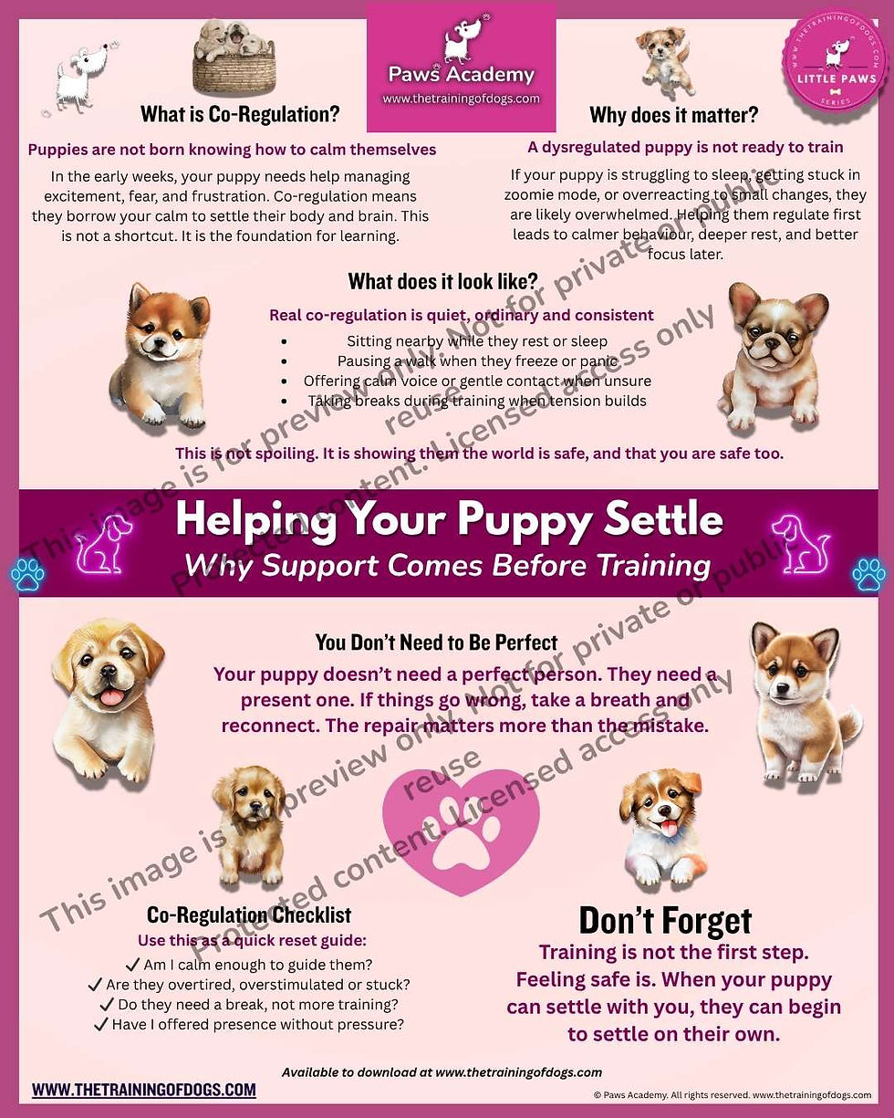 Printable one-page guide titled The Co-Regulation Guide for Calmer Puppies and Easier Training, showing practical steps to su
