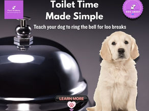 Infographic showing how to toilet train your dog using bell training. Features a puppy and a service bell with the text ‘Toilet Time Made Simple – Teach your dog to ring the bell for loo breaks’. Ideal for dog toilet training and communication tips