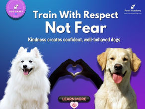 Train with respect not fear infographic promoting kind dog training. Features two happy dogs, heart-shaped hands, and slogan kindness creates confident well behaved dogs. Positive reinforcement and respectful training message from Paws Academy at thetrainingofdogs.com.