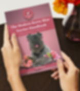 Person holding The Modern Kerry Blue Terrier Handbook paperback by Renee Patience, digital dog training and behaviour guide f