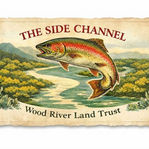 Shifting Baseline Syndrome 