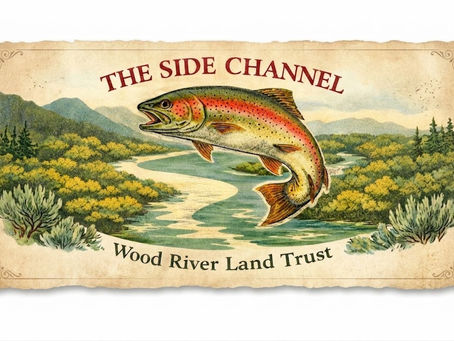 Shifting Baseline Syndrome