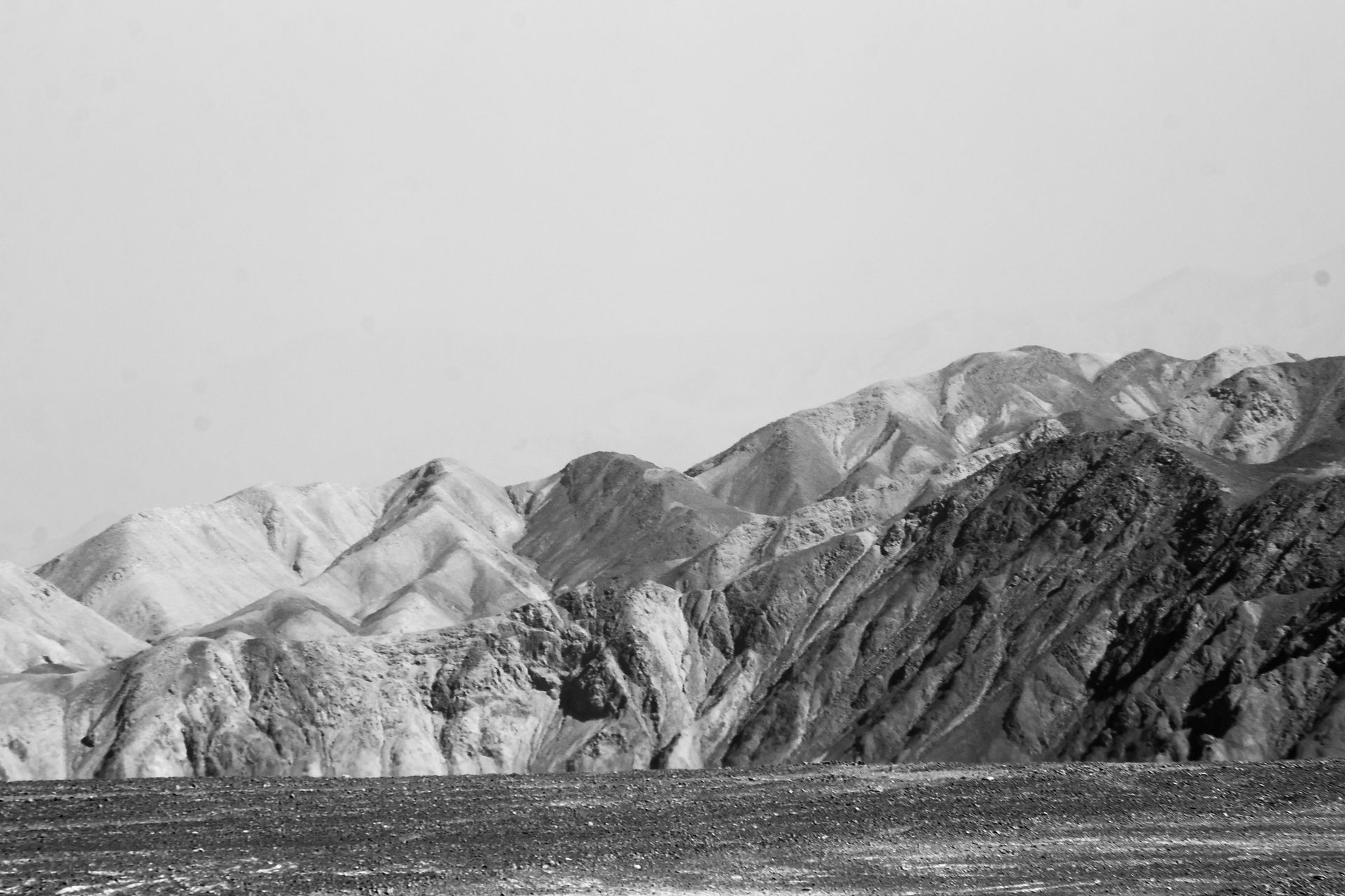IMG_9604