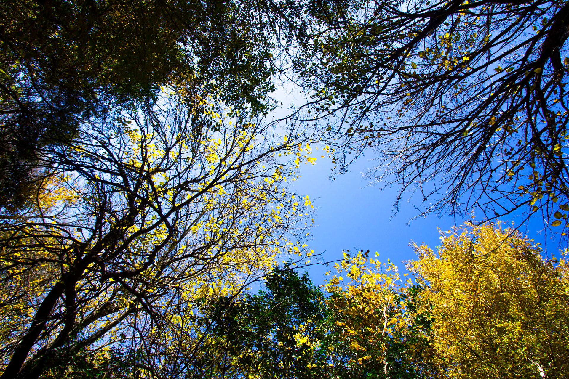 IMG_1744
