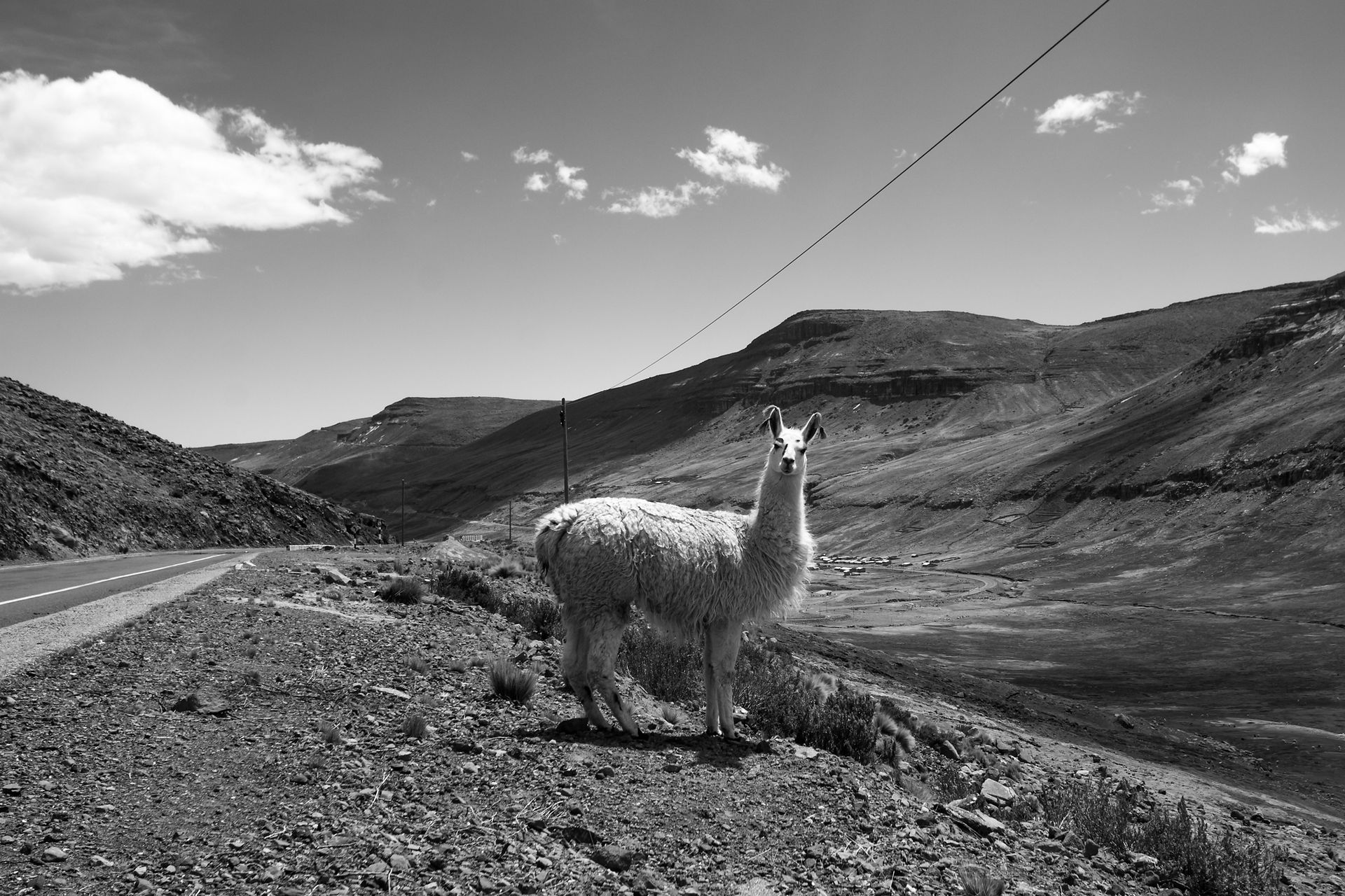 IMG_0918