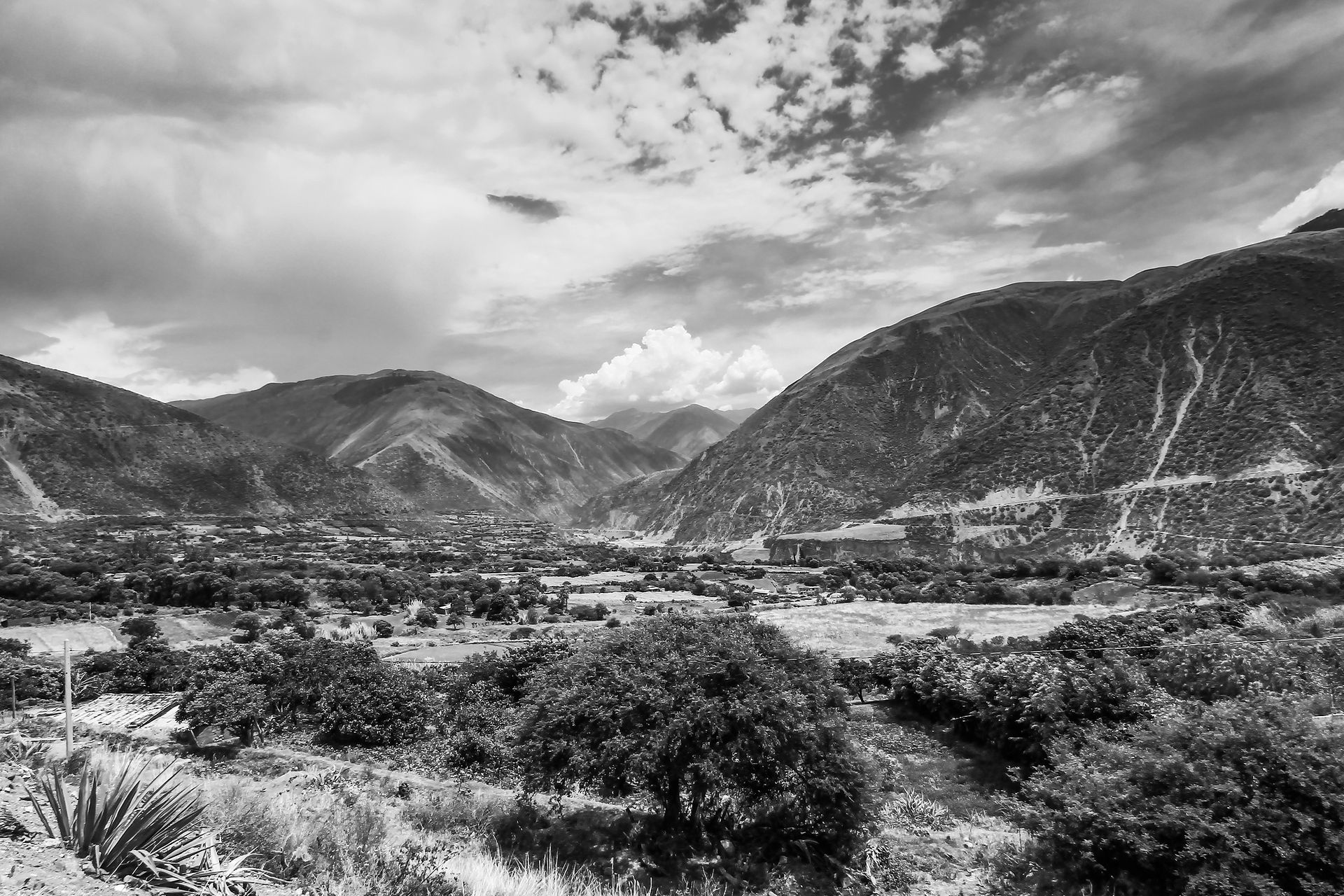 IMG_1552