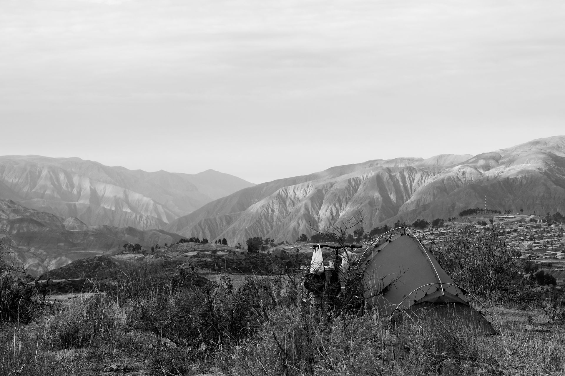 IMG_0521