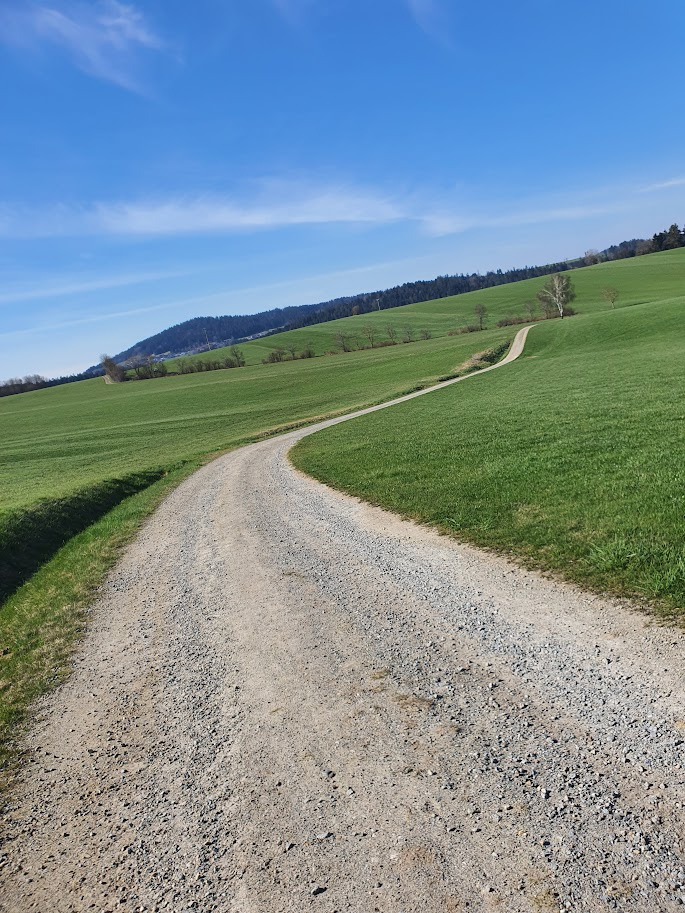 Allein auf weiter Flur