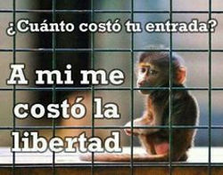 a6190c1c5539bdf46b3ced4e93e0648c