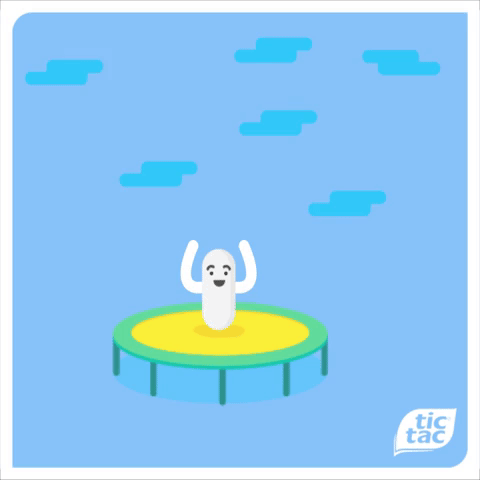 giphy8.gif