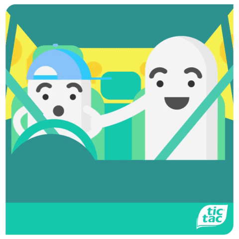 giphy9.gif