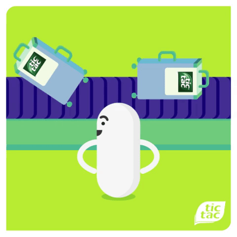 giphy5.gif